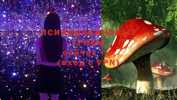 тгк Алексеевка