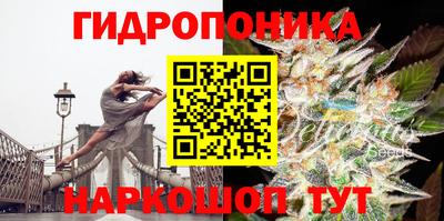 гашик Мариинск