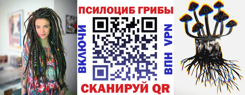 купить закладку  Донской  blacksprut зеркало  Галлюциногенные грибы Magic Shrooms 
